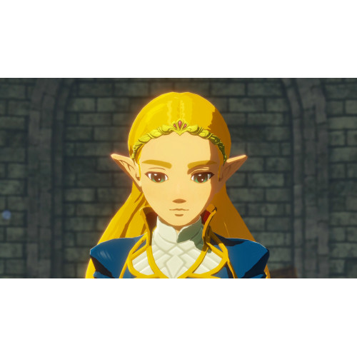 Nintendo Hyrule Warriors: Age of Calamity Basic...