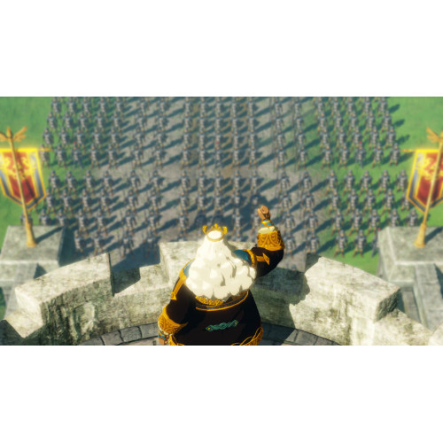 Nintendo Hyrule Warriors: Age of Calamity Basic...