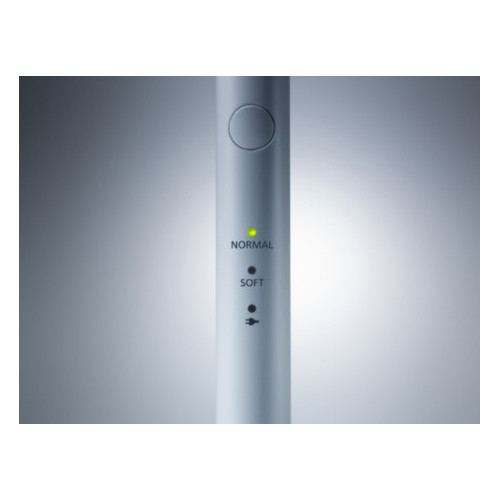 Panasonic EW-DM81 spazzolino elettrico Adulto...