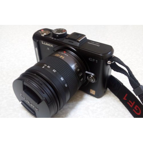 Panasonic H-FS014045 obiettivo per fotocamera...