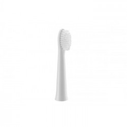 Panasonic WEW0972W503 testina per spazzolino 2 pz Bianco