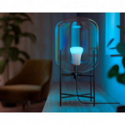 Philips Hue White and Color ambiance E27 - confezione da 2