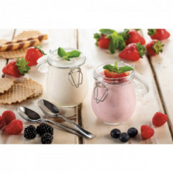 Ariete 615 - Macchina per Formaggi e Yogurt, 6 Programmi, 500 Watt