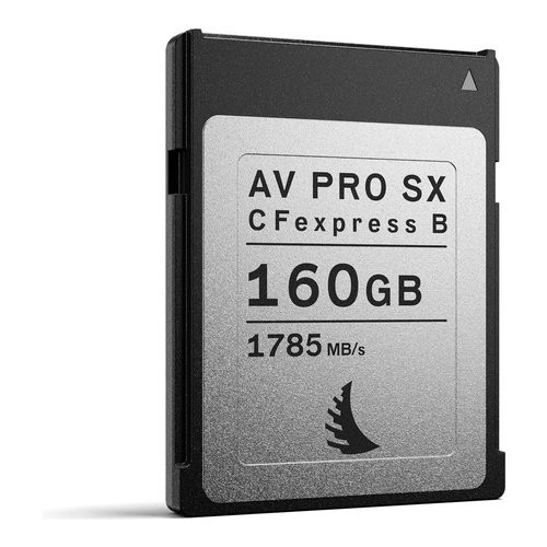 Scheda di memoria Angelbird AV Pro SX 160GB...
