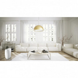 Argo Platinum Evo 41 - Deumidificatore, 41 Lt/giorno, Fino a 48 mq, Tanica 7 Lt, R290