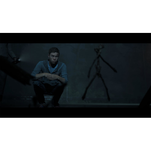 BANDAI NAMCO Entertainment The Dark Pictures:...