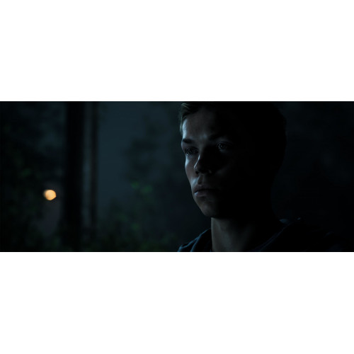 BANDAI NAMCO Entertainment The Dark Pictures:...