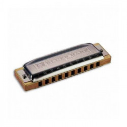 Blues Harp 20 voci DO MS-system Richter.