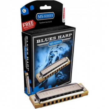 Blues Harp 20 voci MI...