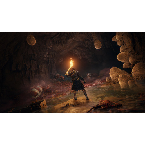 BANDAI NAMCO Entertainment Elden Ring Standard...