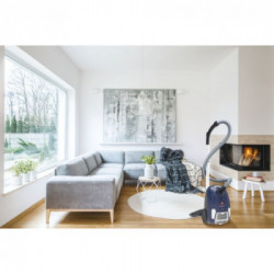 Hoover Brave BV60PET 011 2,3 L A cilindro Secco 700 W Sacchetto per la polvere