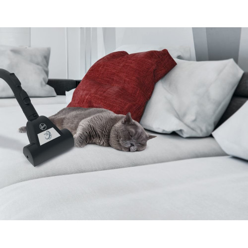 Hoover H-POWER 300 HP330ALG 011 2 L A cilindro...