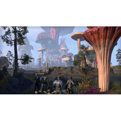 Bethesda The Elder Scrolls Online: Morrowind,...