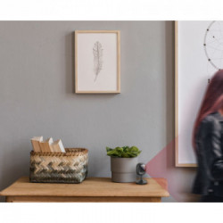 D-Link DCS‑6100LH Telecamera a sensore Interno 1920 x 1080 Pixel Scrivania