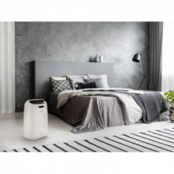 De’Longhi DEXD214F 2,1 L 40 dB 290 W Grigio, Bianco