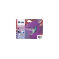 Epson Hummingbird T080740 Multipack Ink Cartridge Originale Nero, Ciano, Ciano chiaro, Magenta chiaro, magenta, Giallo