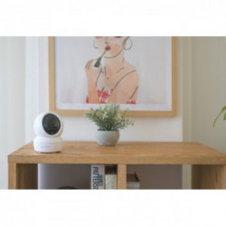 EZVIZ C6N Telecamera di sicurezza IP Interno Cupola 1920 x 1080 Pixel Scrivania