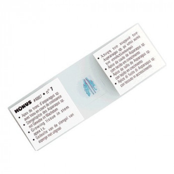 Vetrini preparati per...