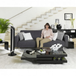 Rowenta Eole VU6670 ventilatore Nero