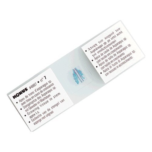 Vetrini microscopio Serie per l'insegnamento...