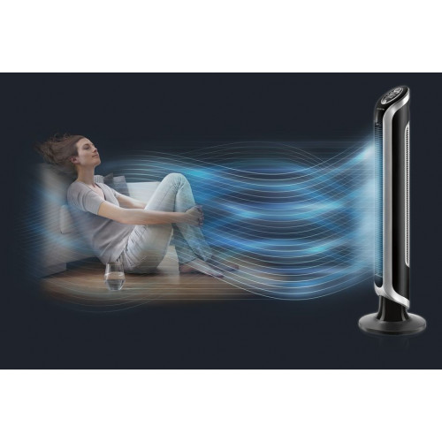 Rowenta Eole VU6670 ventilatore Nero