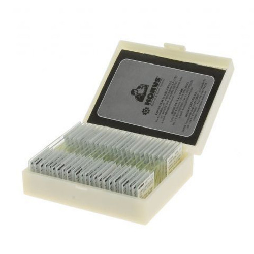 Vetrini preparati per microscopi, serie...