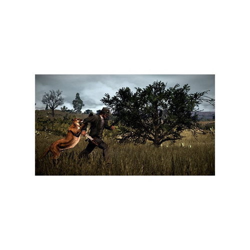 Take-Two Interactive Red Dead Redemption 2, PS4...