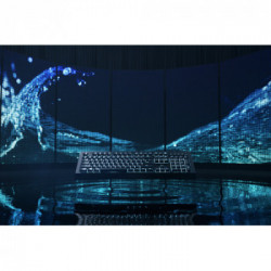 Razer CYNOSA V2 tastiera USB QWERTY Inglese, Italiano Nero