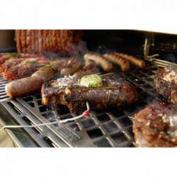 Weber SmokeFire EPX6 - Barbecue a Pellet, Modello 23611504