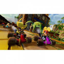 Activision Crash Team Racing Nitro-Fueled, Switch videogioco Nintendo Switch Basic ITA