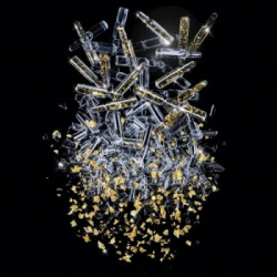 Diego dalla Palma Gold Infusion - Youth Pro-Collagen ampoule