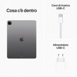 Apple iPad 12.9 Pro Wi‑Fi 256GB - Grigio Spaziale *ESTENSIONE GARANZIA3 3 ANNI IN PIU' in omaggio*