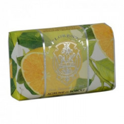 Sapone Mario Fissi Sapone singolo incartato agrumi di boboli 200 g