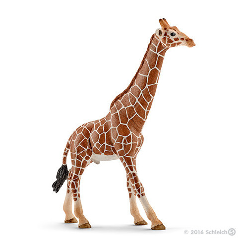 Schleich Wild Life 14749 action figure giocattolo