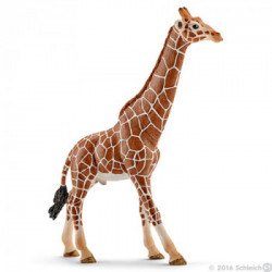 Schleich Wild Life 14749 action figure giocattolo