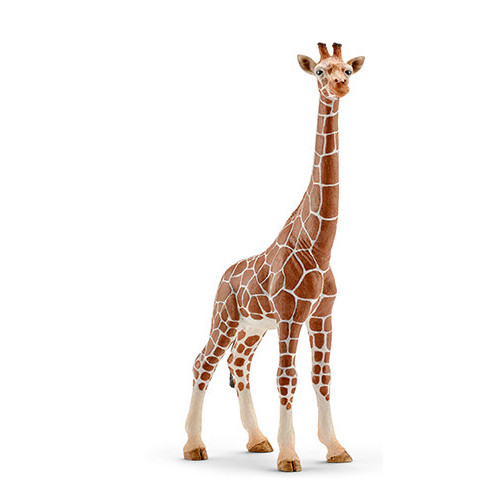 Schleich Wild Life 14750 action figure giocattolo