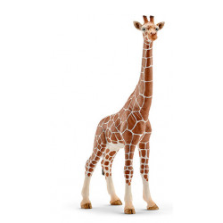 Schleich Wild Life 14750 action figure giocattolo