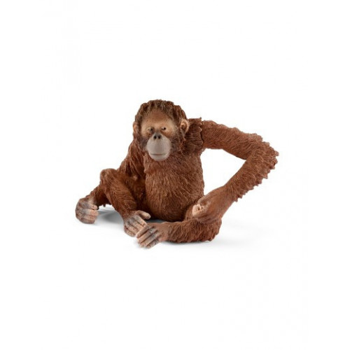 Schleich Wild Life 14775 action figure giocattolo