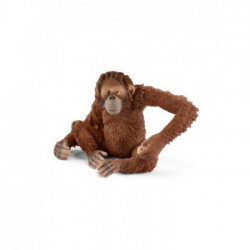 Schleich Wild Life 14775 action figure giocattolo