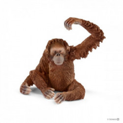 Schleich Wild Life 14775 action figure giocattolo
