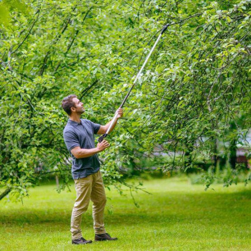 Fiskars 1023626 - Forbici da Potatura, Manico...