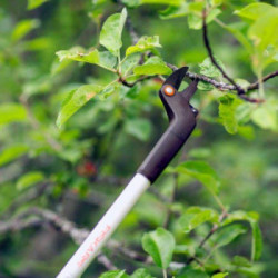 Fiskars 1023626 - Forbici da Potatura, Manico Lungo 