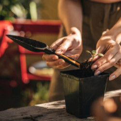 Fiskars 1057641 Trapiantatore per semi Solid