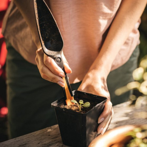 Fiskars 1057641 Trapiantatore per semi Solid