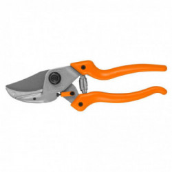 Löwe 81041 - Kit DVD e forbice per la potatura del pesco