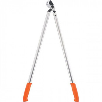 Löwe 69100 - Troncarami con...