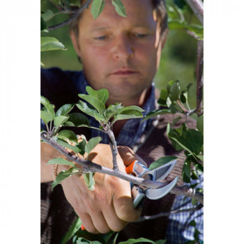 Stocker 335 Forbice Profi... 2