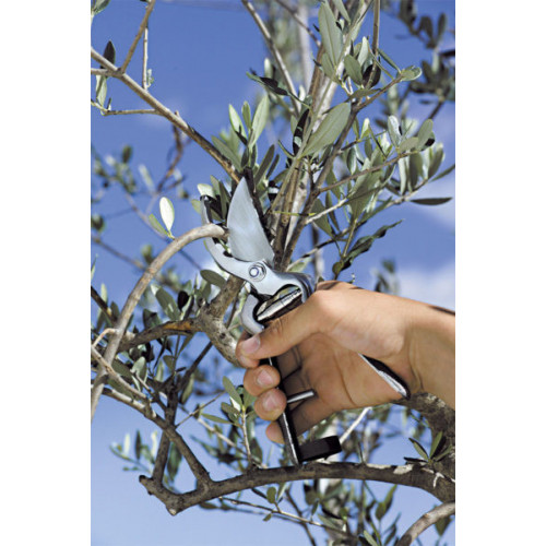 Stocker 382 - Forbice da Potatura, 21 cm