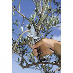 Stocker 386 - Forbice da Potatura, 23 cm