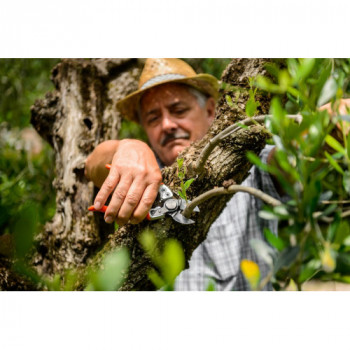 Stocker 376 Forbice Ergo... 2